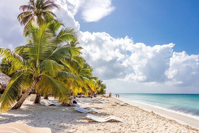 Saona Island Cruise & Private Beach - Frequently Asked Questions (FAQs)