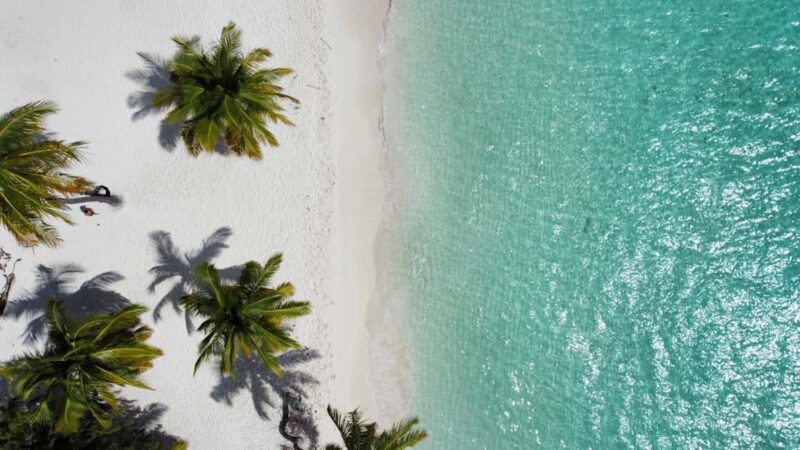 Saona Island Day for Marella Discovery (La Romana Port) - Exploring Saona Island with Dominican Attitude Excursions: A Balanced Review