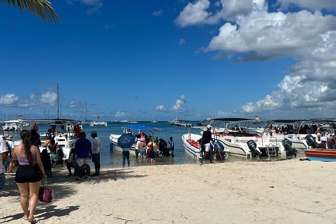 Saona Island Day Tour - Authentic Experiences and Guest Feedback