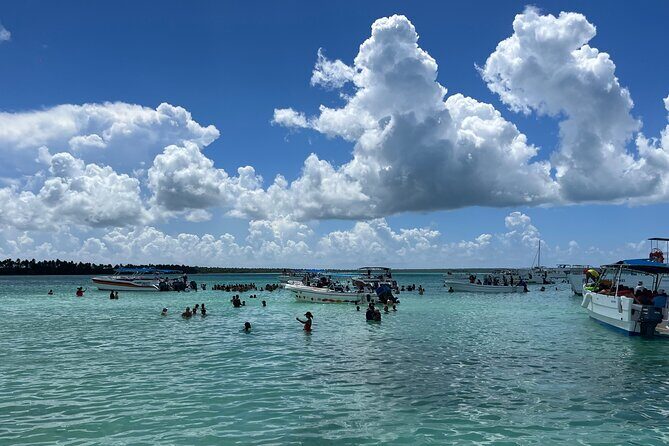 Saona Island Day Tour - The Bottom Line: Who Should Consider This Tour?
