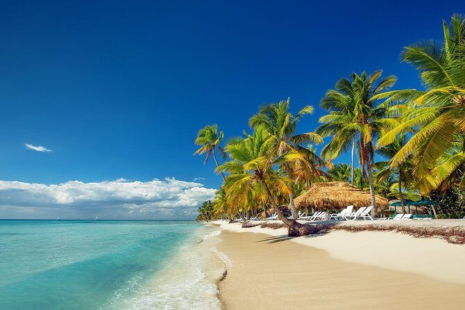 Saona Island Day Tour - Key Points