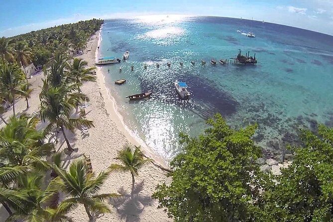 Saona Island Day Tour - Review Highlights and Challenges