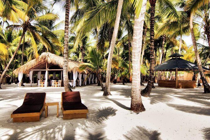 Saona Island Day Trip and Cruise from Punta Cana - Transportation & Group Size: What It Means for You