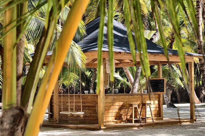 Saona Island Day Trip and Cruise from Punta Cana - Pricing & How to Maximize Value