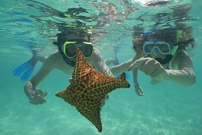 Saona Island Day Trip From Punta Cana with Lunch and Open Bar - Introduction