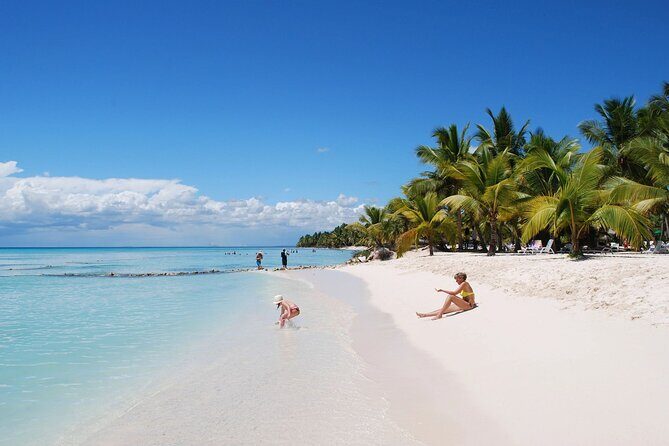 Saona Island Day Trip From Punta Cana with Lunch and Open Bar - What’s Included & What’s Not