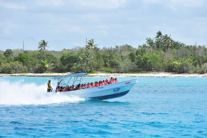 Saona Island Day Trip From Punta Cana with Lunch and Open Bar - Transportation & Logistics: The Double-Edged Sword