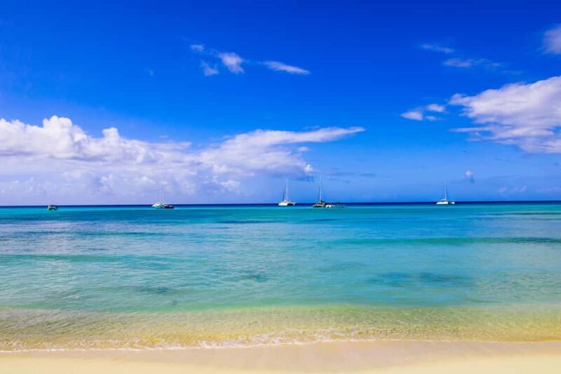 Saona Island Day Trip + Lunch + Open Bar from Punta Cana - FAQs