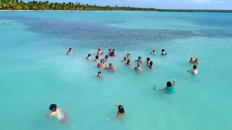 Saona Island Day Trip + Lunch + Open Bar from Punta Cana - Practical Tips for Booking and Enjoying Your Day