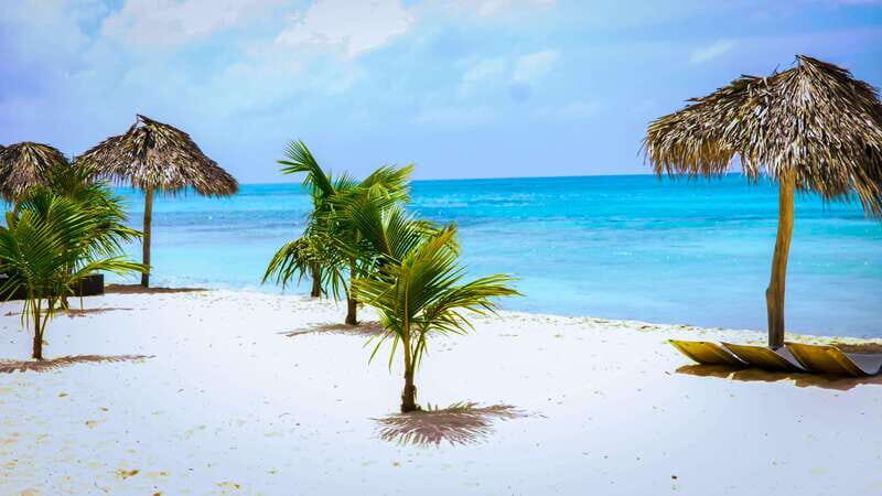 Saona Island Day Trip + Lunch + Open Bar from Punta Cana - The Sum Up: Is This Tour Worth It?