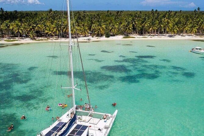 Saona Island Day Trip with Lunch, Transportation and Drinks - A Closer Look at the Itinerary