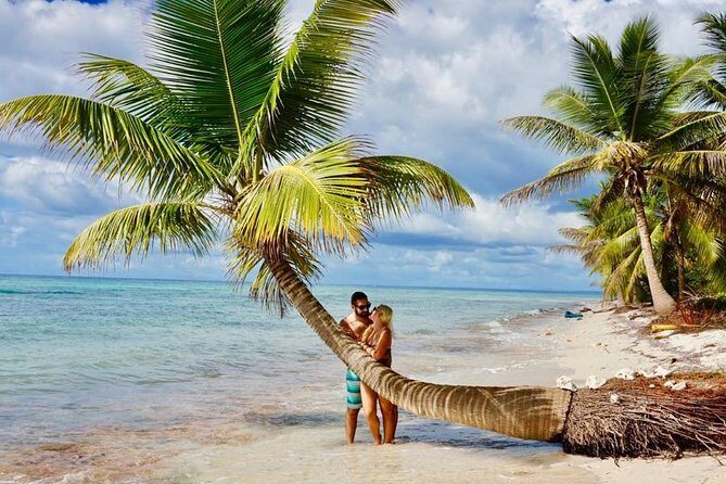 Saona Island Discovery - Pricing and Value