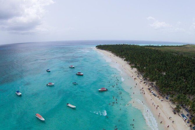 Saona Island Excursion by Catamaran and Speedboat - What Travelers Love About This Tour
