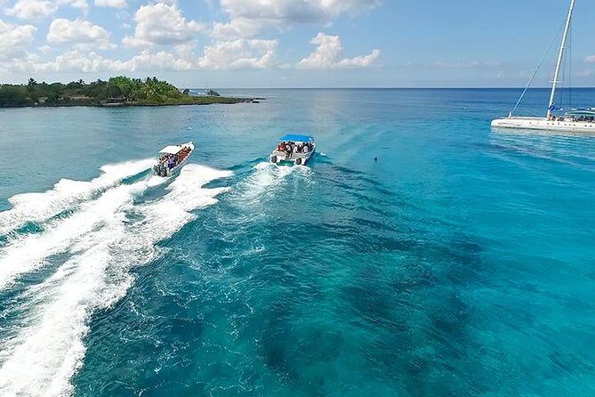 Saona Island Excursion from Bayahibe - The Pros and Cons: What Travelers Should Know