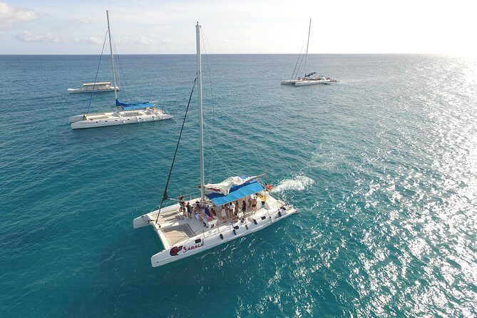 Saona Island Excursion From Punta Cana - Key Points