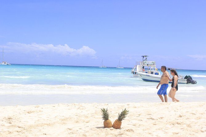 Saona Island Excursion From Punta Cana - What the Reviews Say
