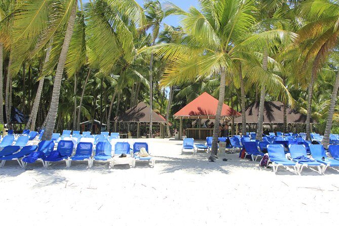 Saona Island Excursion From Punta Cana - Who Should Consider This Tour?