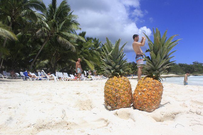 Saona Island Excursion From Punta Cana - FAQ