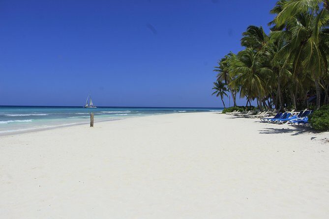 Saona Island Excursion From Punta Cana - Final Thoughts