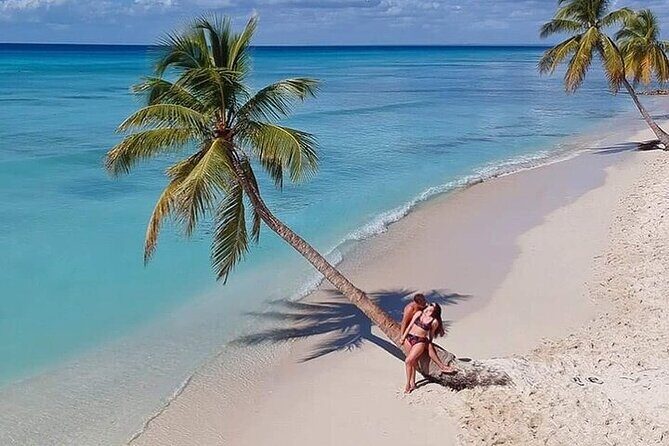 Saona Island from Punta Cana with Transportation and Lunch Included - Who Should Consider This Tour?