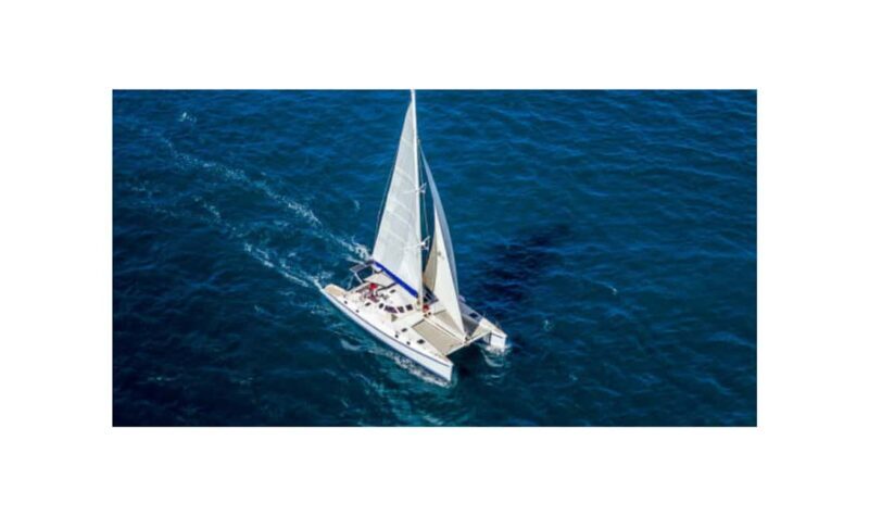 Saona Island From Santo Domingo With Catamaran, Food & Drink - Authentic Experiences and Traveler Feedback