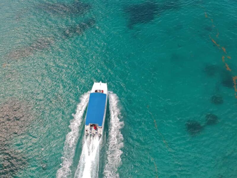 Saona Island: Full-Day Boat Tour All Inclusive - Final Thoughts: Is This Tour Right for You?