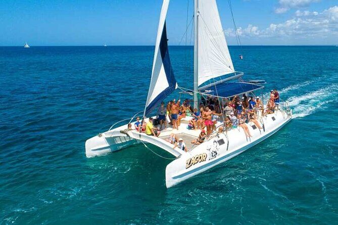Saona Island Full Day Excursion from Punta Cana - Key Points