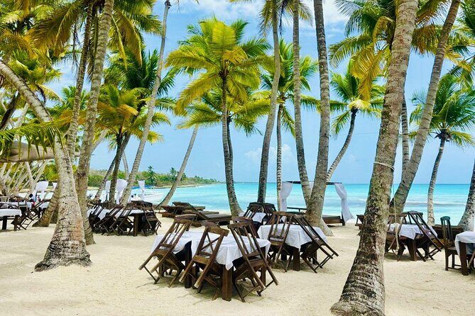 Saona Island Full Day Tour with Buffet Lunch, Paella, & Open Bar - Key Points