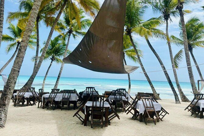 Saona Island Full Day Tour with Buffet Lunch, Paella, & Open Bar - What Travelers Are Saying