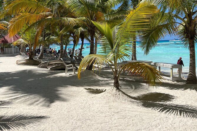 Saona Island Full Day Tour with Buffet Lunch, Paella, & Open Bar - Who Will Love This Tour?