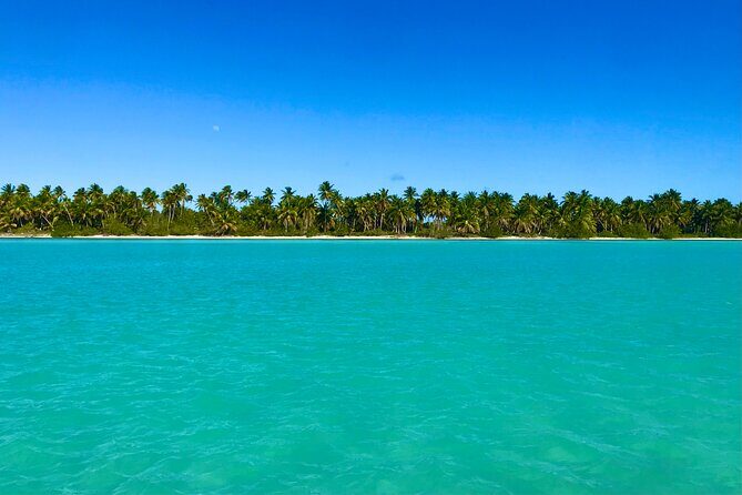 Saona Island Full Day Tour with Buffet Lunch, Paella, & Open Bar - The Sum Up