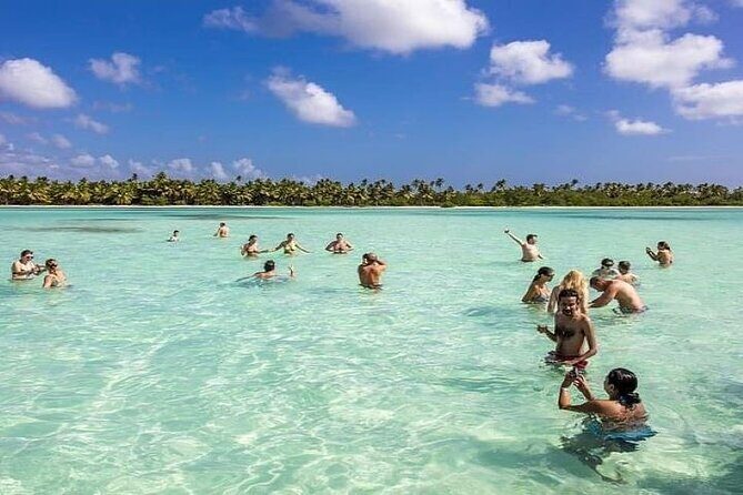 Saona Island Full-Day Tour with Lunch from Punta Cana - Key Points