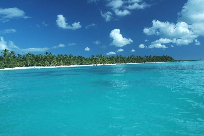 Saona Island Full-Day Tour with Lunch from Punta Cana - The Itinerary in Detail