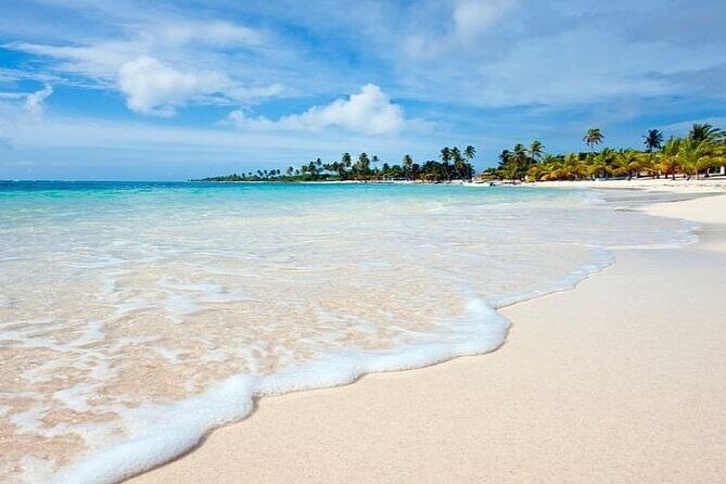 Saona Island Full-Day Tour with Lunch from Punta Cana - Who Should Book This Tour?