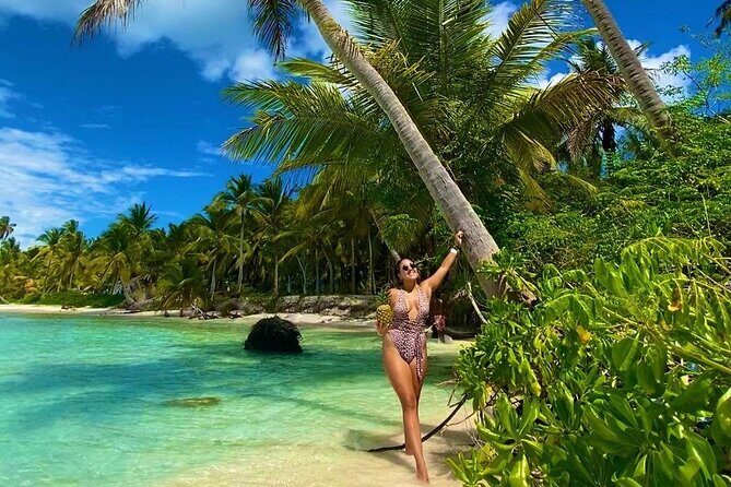 Saona Island, memorable all-inclusive experience, from Santo Domingo. - An Overview of the Saona Island Experience