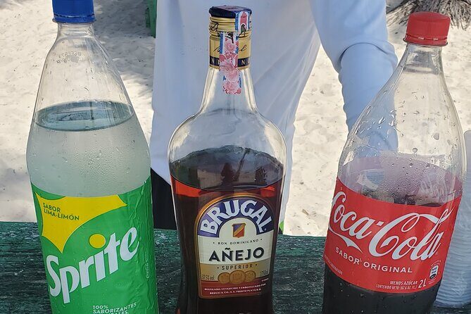 Saona Island Premium Discovery Tour from Punta Cana or Bayahíbe - Final Thoughts: Who Is This Tour Best For?