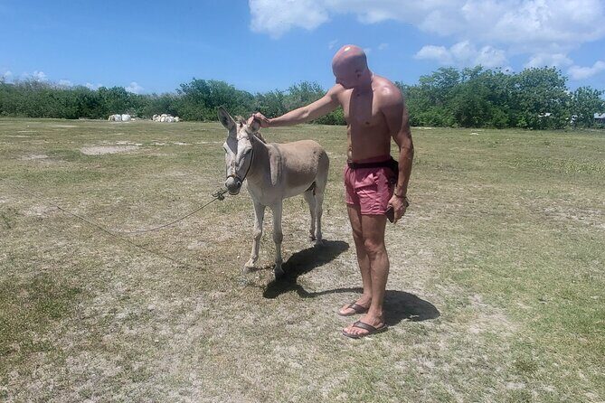 Saona Island Premium Discovery Tour from Punta Cana or Bayahíbe - FAQ