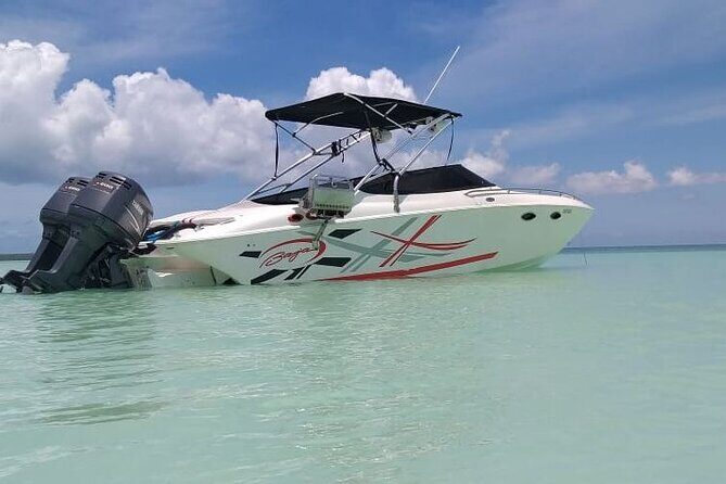 Saona island - Private Tour with a Luxury Speed Boat - A Detailed Look at the Itinerary