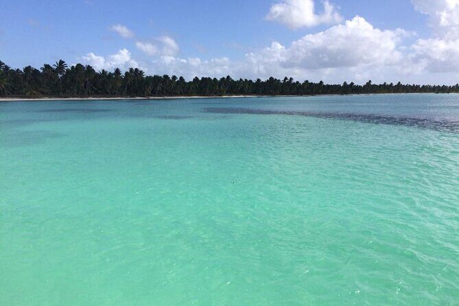 Saona island - Private Tour with a Luxury Speed Boat - How Does It Compare in Value?