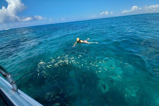 Saona island - Private Tour with a Luxury Speed Boat - Final Words