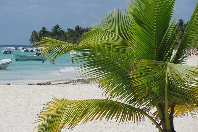 Saona Island small group and relax - luxury catamaran - The Full Itinerary