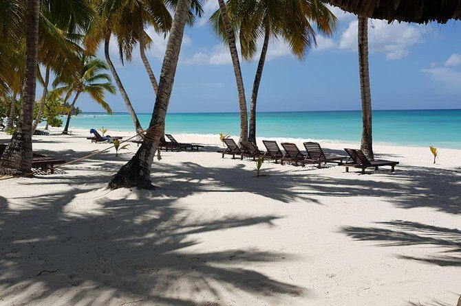 Saona Island small group and relax - luxury catamaran - Who Should Consider This Tour?