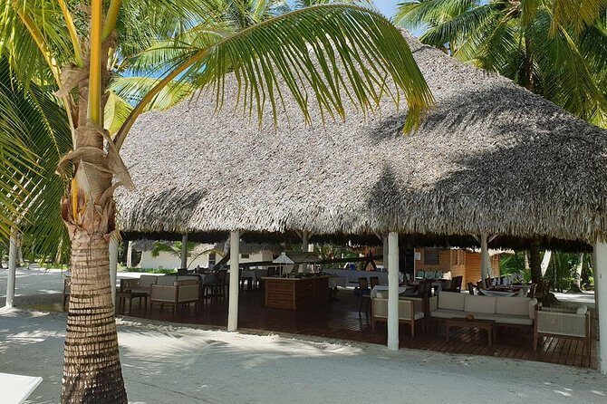 Saona Island small group and relax - luxury catamaran - Final Thoughts