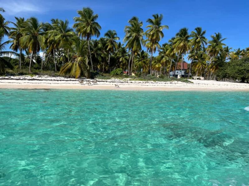 Saona Island: Small Group Virgin Beaches Cruise Day Trip - The Itinerary Breakdown: What Makes Each Stop Special