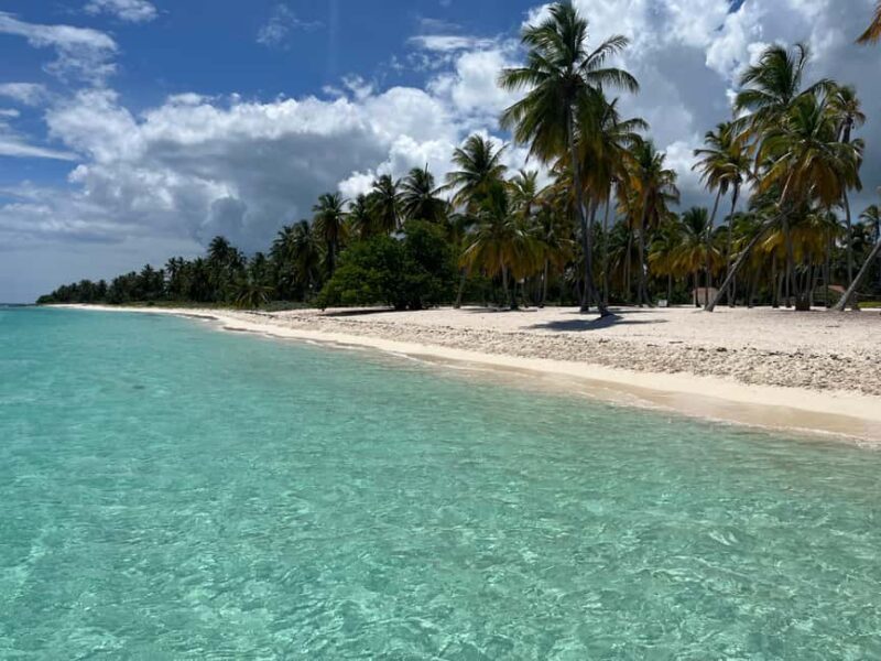 Saona Island: Small Group Virgin Beaches Cruise Day Trip - Practical Details and Tips
