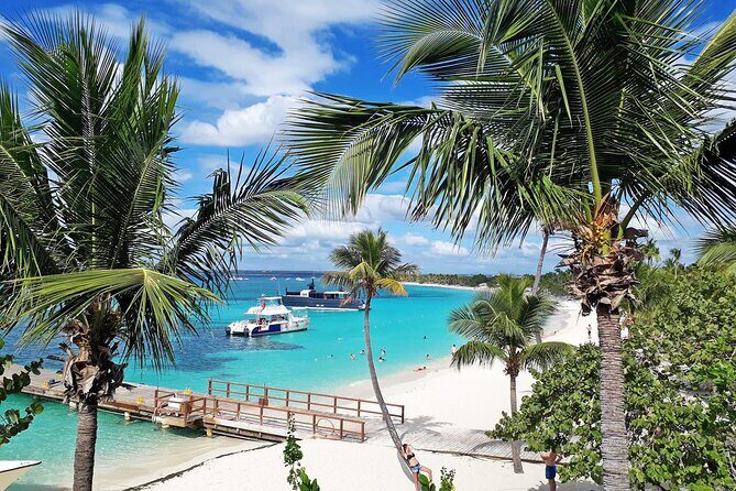 Saona Island Tour and Catamaran Party from Punta Cana - Key Points