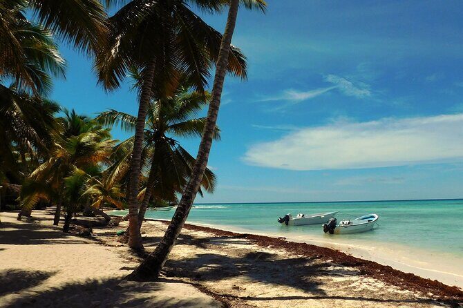 Saona Island Tour from Juan Dolio with pickup - Detailed Review of the Saona Island Tour from Juan Dolio