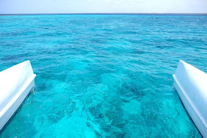 Saona Island Tour From Punta Cana - Key Points