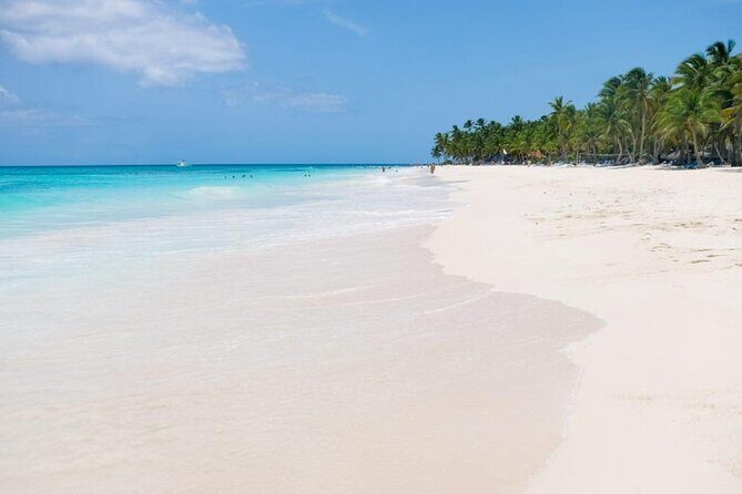 Saona Island Tour From Punta Cana - Who Should Think Twice