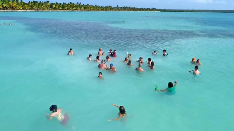 Saona Island Tour From Santo Domingo with Lunch and Pickup - An In-Depth Look at the Saona Island Tour from Santo Domingo